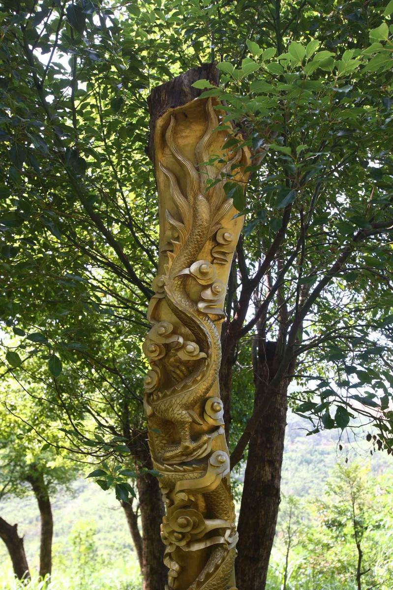 活體樹(shù)雕